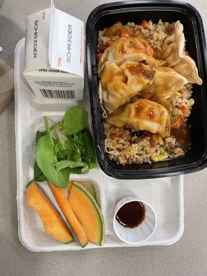 potsticker and rice with teriyaki sauce