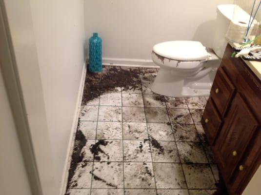 Nightmare bathroom back up.  We can help clean/ disinfect, then dry out and replace any necessary structures.