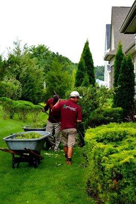 No green thumb? No worries! Our experts can spot your lawn's specific needs and get your grass thriving.