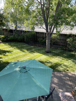 Backyard with fresh RTF sod