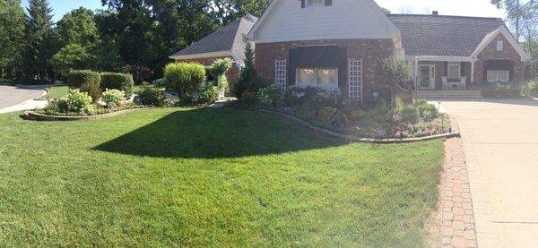 Native plant front garden