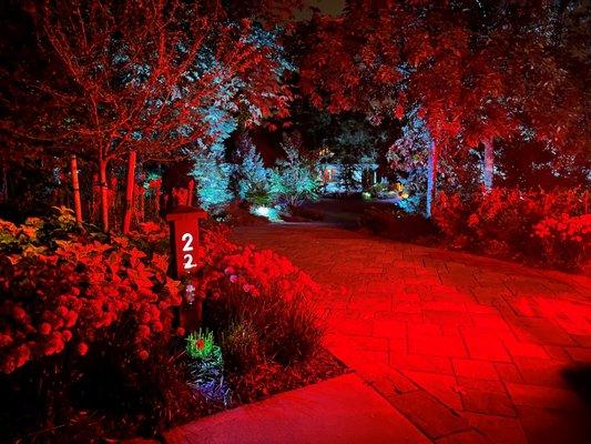 Color changing outdoor lighting