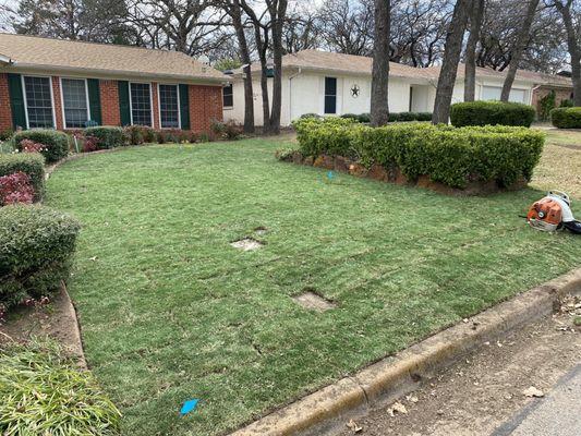 Sod install complete Yard was tiller, leveled , and added 1 1/2 yards of compost mixed soil