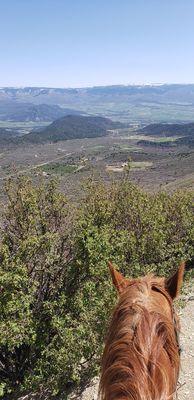 Horseback training in the mountains offer a spectacular view of the Grand Mesa and the nearby town of Collbran.