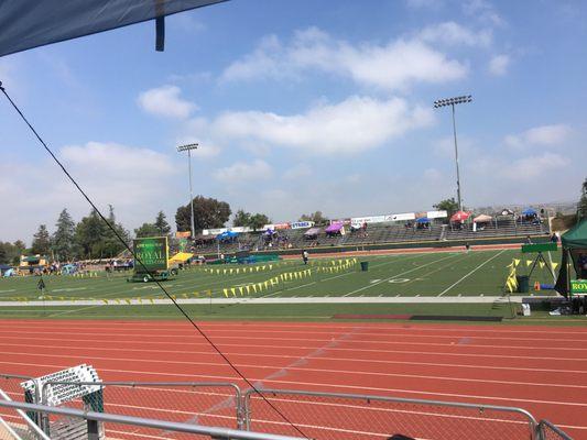 Cif track meet