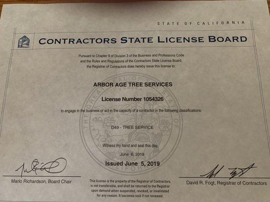 Contractor's License