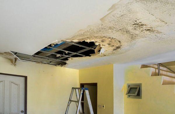 Water Damage Restoration