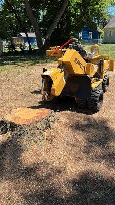 a stump in the backyard of my satisfied customer