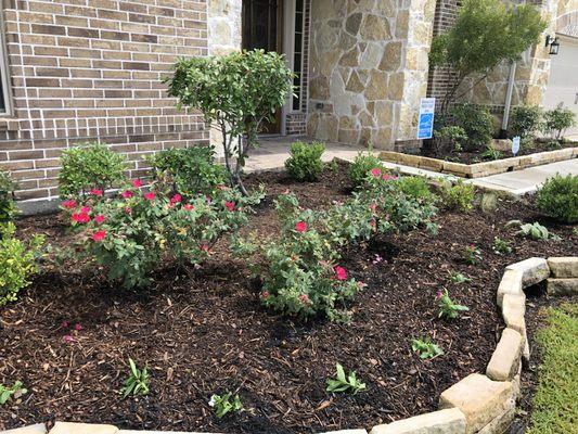 New flower bed and mulch installation in Katy, TX