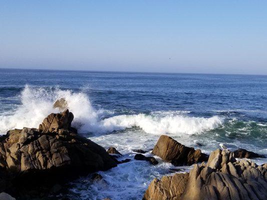 Maui coast