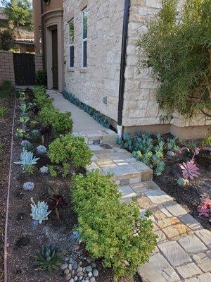 Upgraded Entrance with Succulents