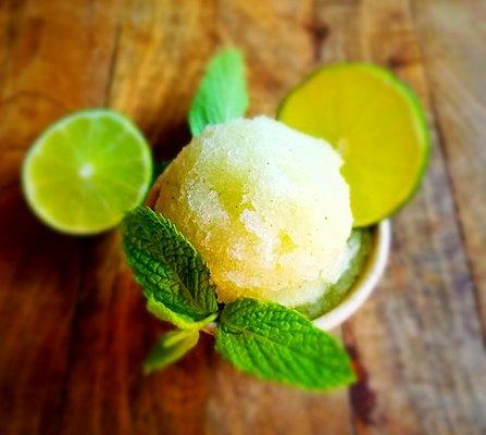 Mojito sorbet, vegan option