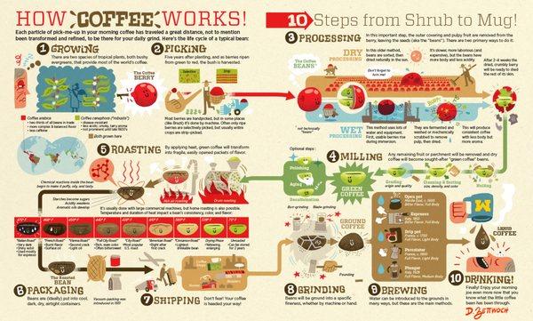 Where coffee comes from