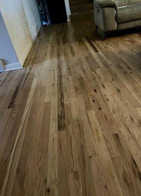 Geist Flooring