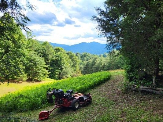 Mowing mountain property.