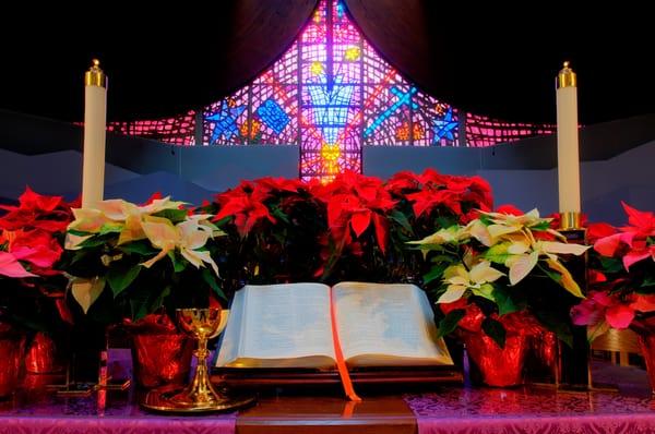 Christmas at Littleton UMC is majestic & wonderful!