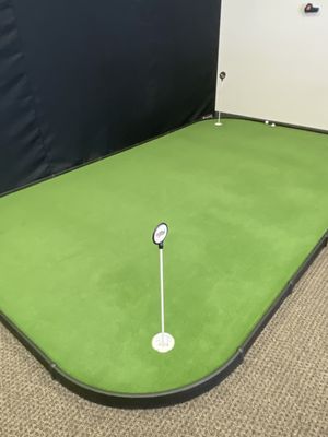 Pro putting green