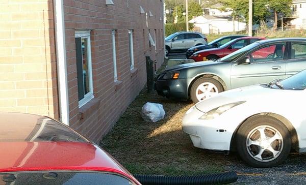 People let trash pile up outside their windows instead of walking it to the dumpster.