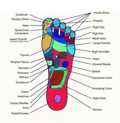 we do reflexology！！！