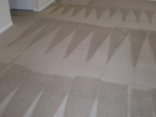 Carpet Cleaning in Walnut