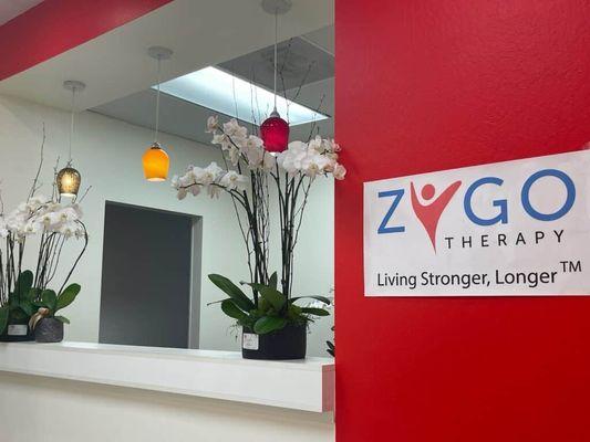 Front Desk - Zygotherapy