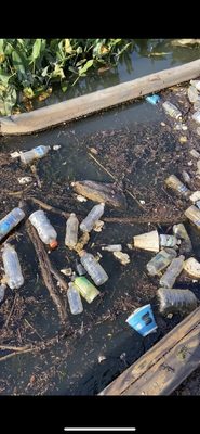 Trash being scooped up during a clean on the Chesapeake Bay in August of 2023