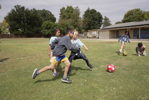 Our school's athletic fields, multi-sport playground, and gym provide students with the space and equipment they need to thrive.