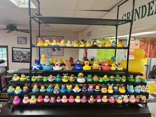 Rubber duck display I