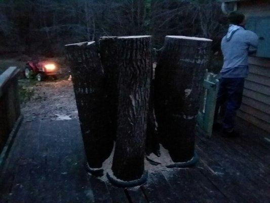 After removal of Tri Dominant oak tree customer has decided to keep the stump to set her flower pots on!