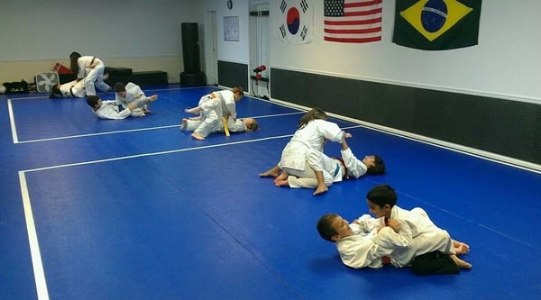 Fusion Martial Arts, Sanford FL, Taekwondo, Brazilian Jiu Jitsu, Lake Mary, Heathrow, Deltona, Longwood, FL After School