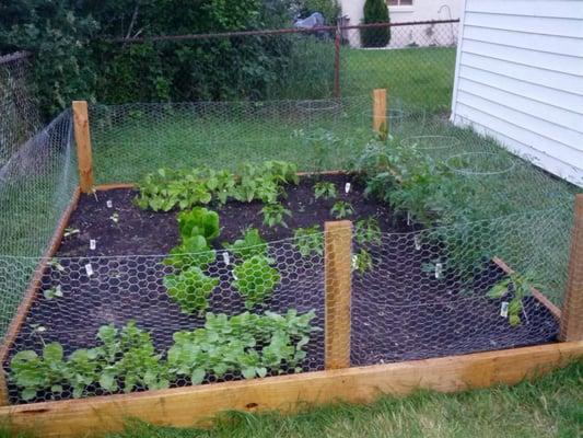 A perfect 8x8 garden for the family!