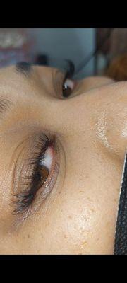 Lash Extensions by a Lavish Lashes Artist and Technician. Lash Extensions