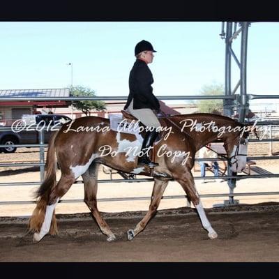 APHA show at westworld