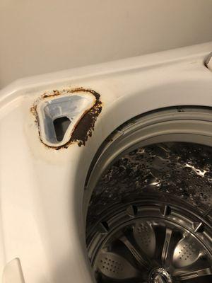 Rust in the clothes washer