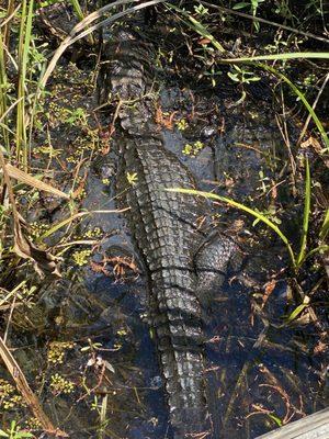 Jean Lafitte National Historic Park and Preserve