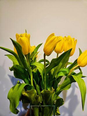 Dutch tulips delivered in Brooklyn and Lower Manhattan. Glass vase and gift wrapping included.