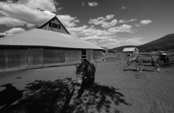 Flying Horseshoe Ranch