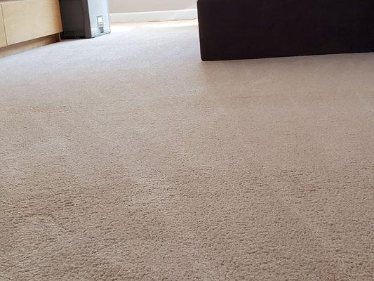 S.O.S Carpet Cleaning