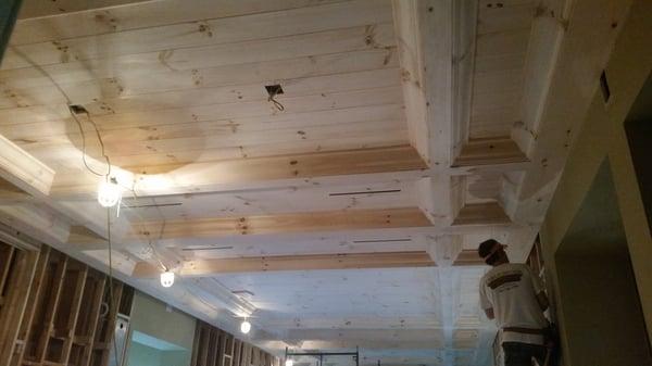 Ceiling Work