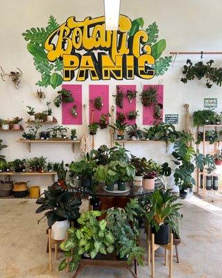 We have incredible vendors all throughout the store! Plants, vintage clothing, home goods + more!! Our hours are 12pm to 6pm! Stop by!!