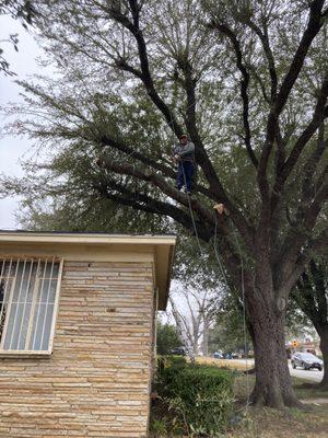 Roof clearance