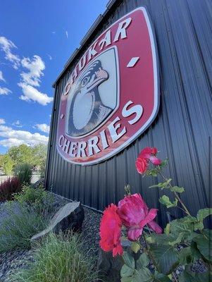 Chukar Cherries