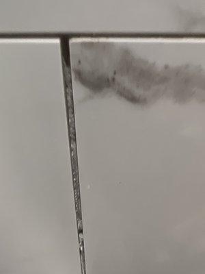 Grout that had crumbled out over only 4 years