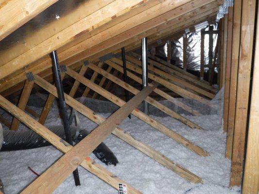 Attic Condition