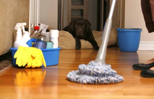 Quality cleaning at an affordable price. Save time by letting us do all the clean up.