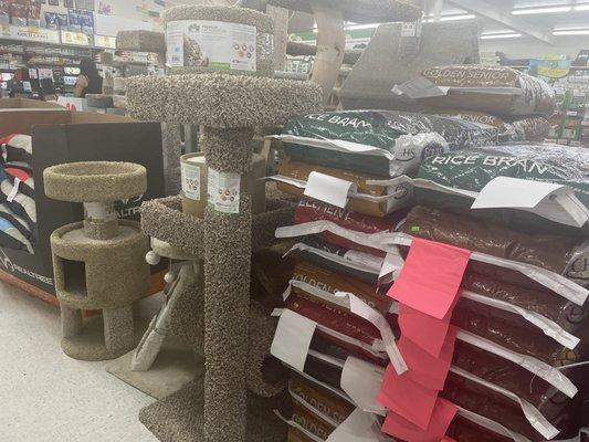 Cat scratching posts and beds