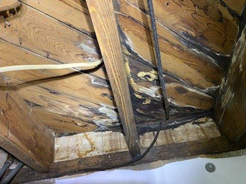 Mold growth in crawlspace AFTER Terminix crawlspace encapsulation due to incorrectly installed ddehumidifier