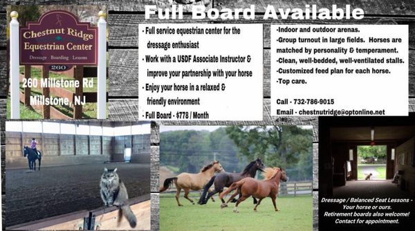 Chestnut Ridge Equestrian Center