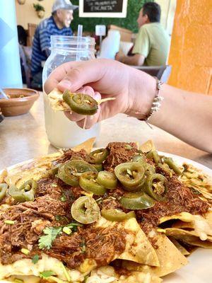 Birria Nachos