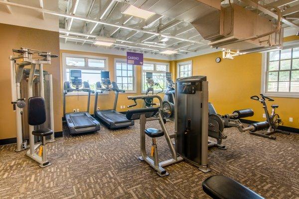 Precor Cardio & Selectorized Strength Equipment with a great view.